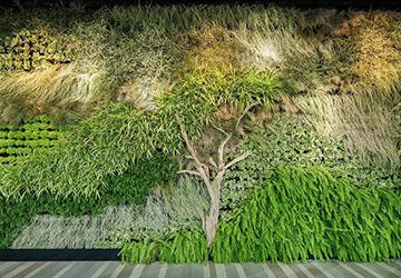 室内植物墙 室内植物墙